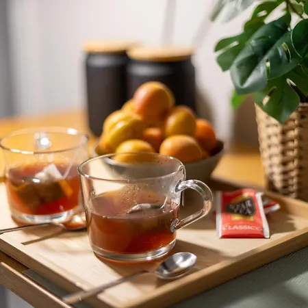 Energy, Style, And Relax In Perfect Appartement